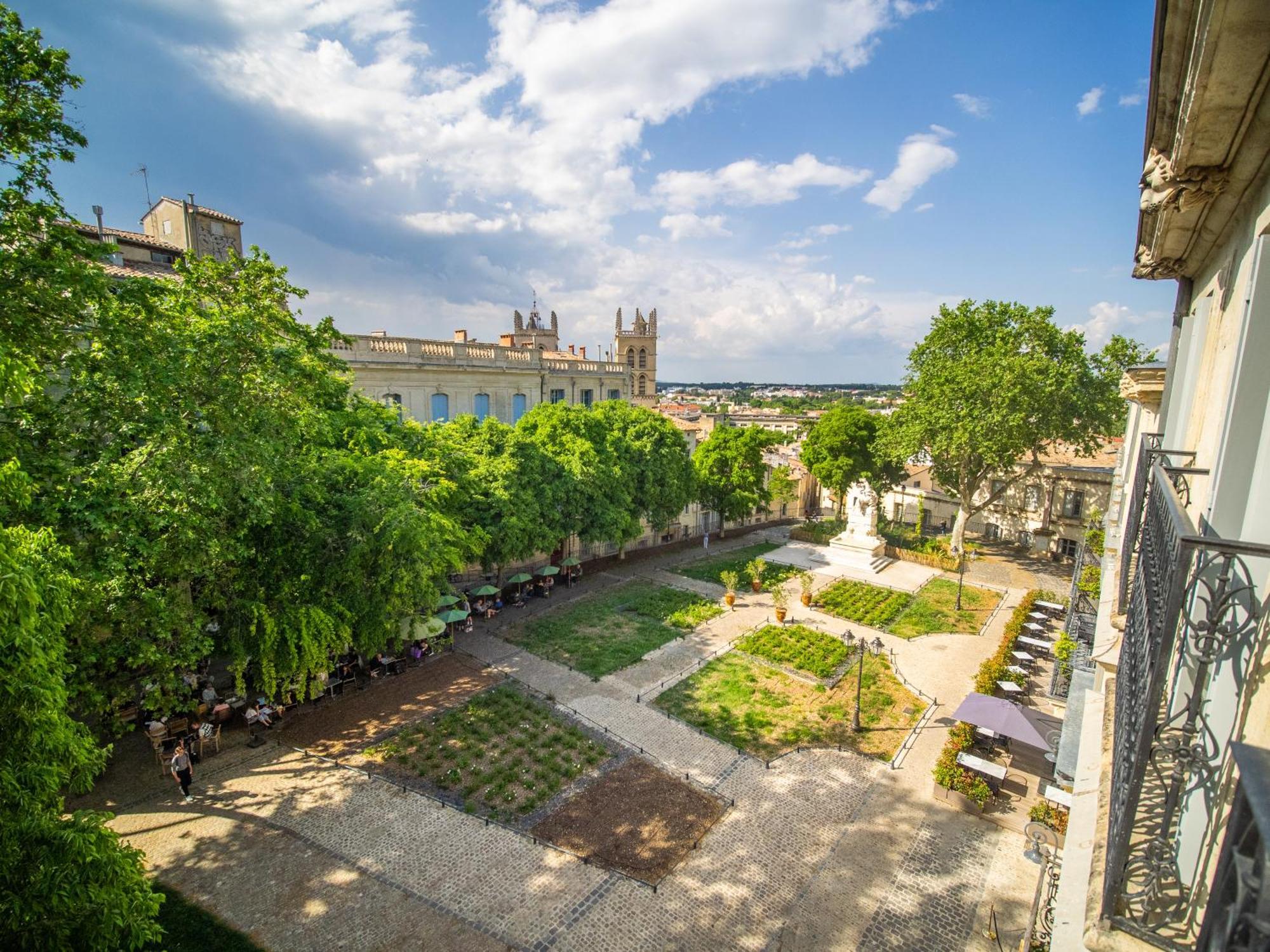 Appartement Le Platane de la canourgue à Montpellier Extérieur photo