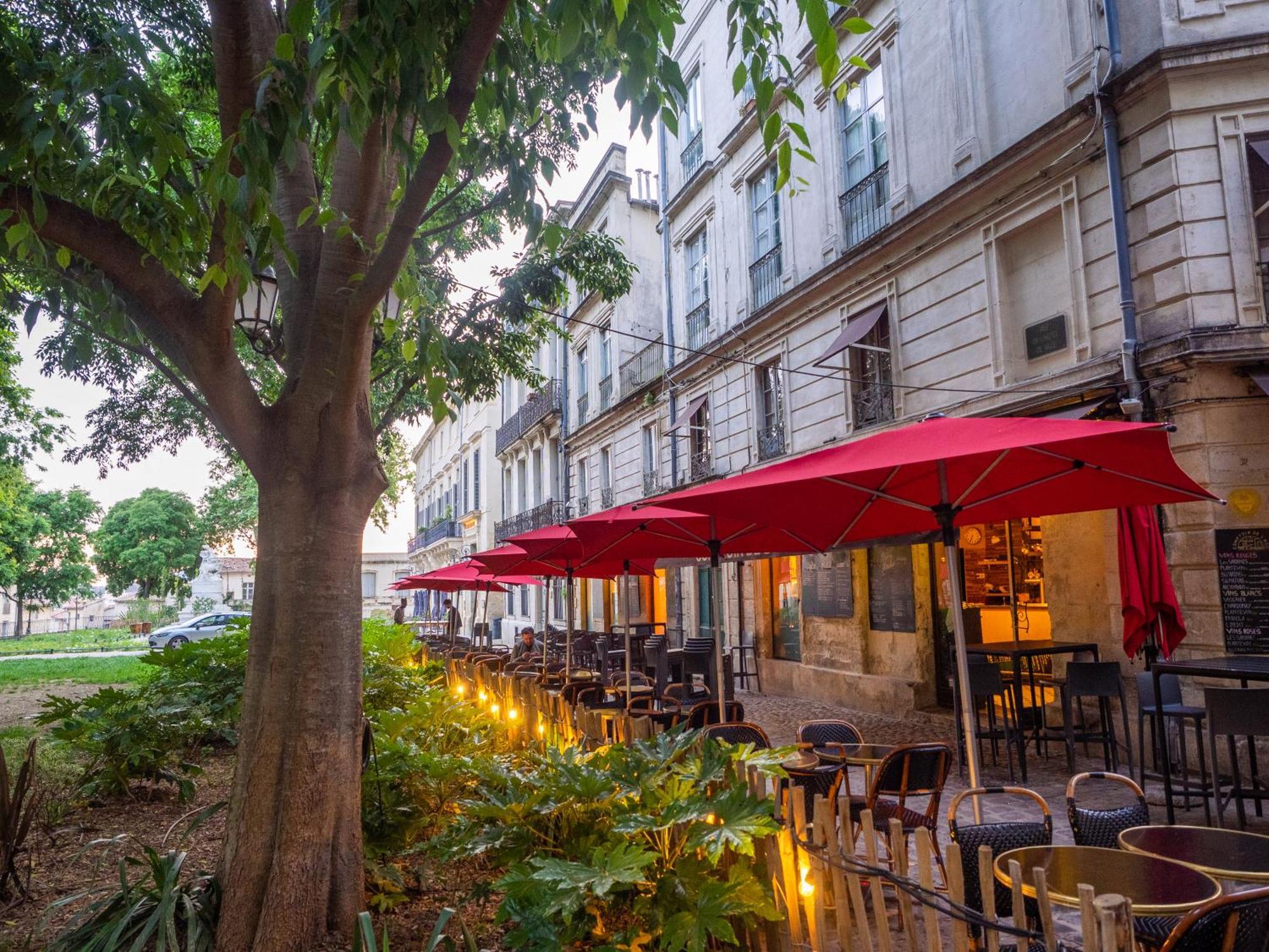 Appartement Le Platane de la canourgue à Montpellier Extérieur photo