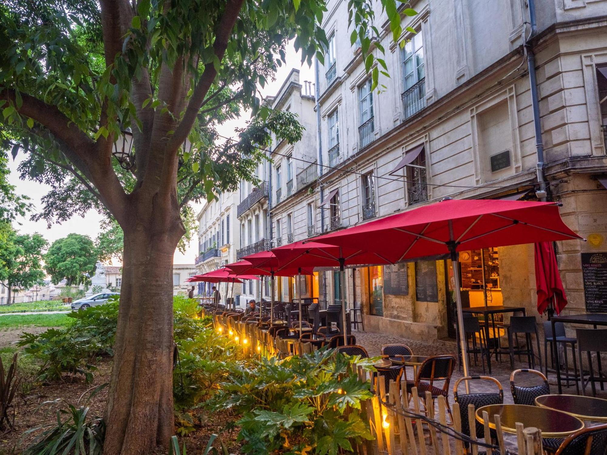 Le Platane de la canourgue Montpellier Extérieur photo
