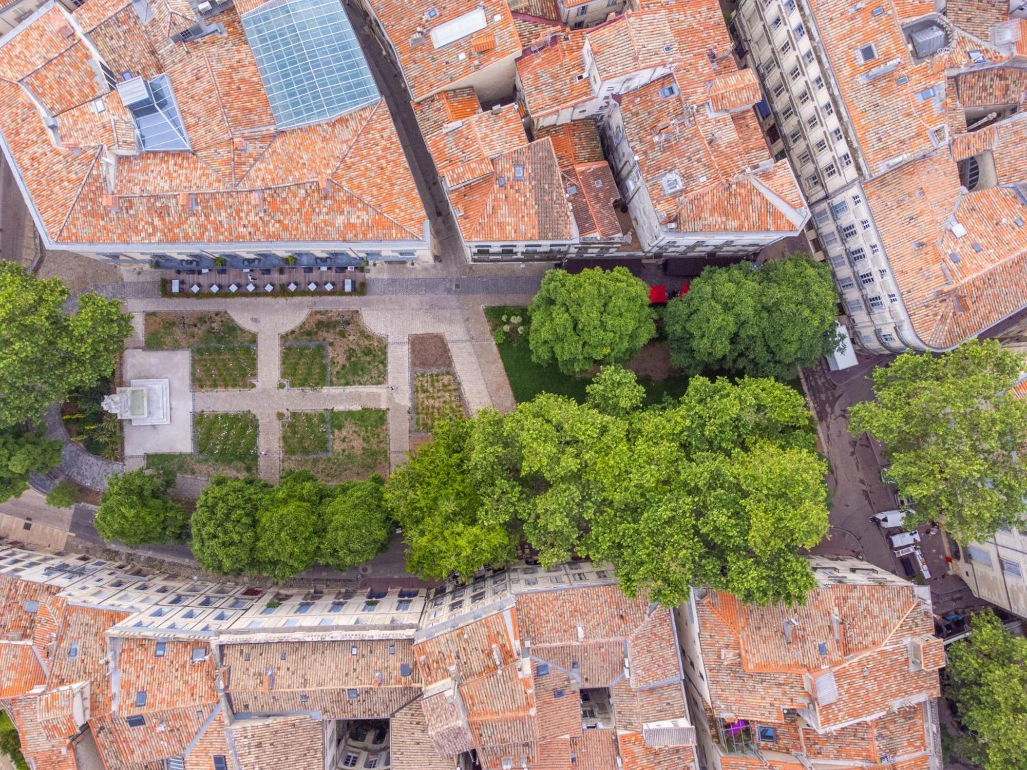 Appartement Le Platane de la canourgue à Montpellier Extérieur photo