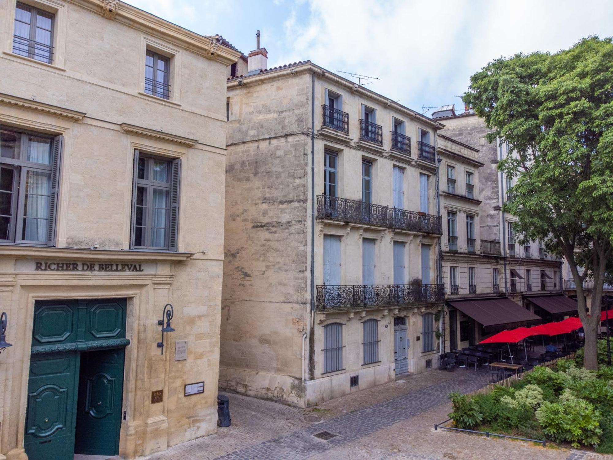 Appartement Le Platane de la canourgue à Montpellier Extérieur photo