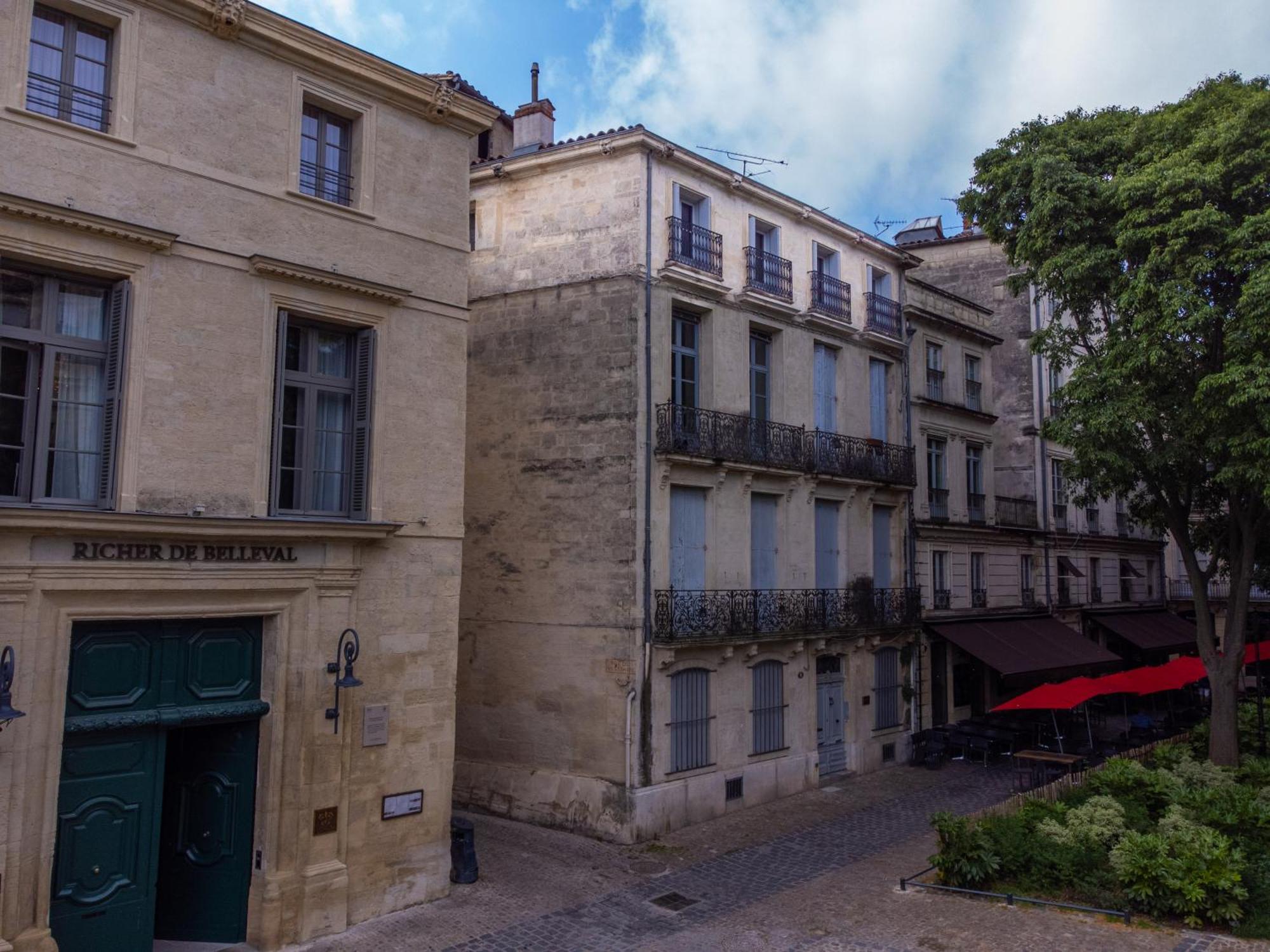 Appartement Le Platane de la canourgue à Montpellier Extérieur photo