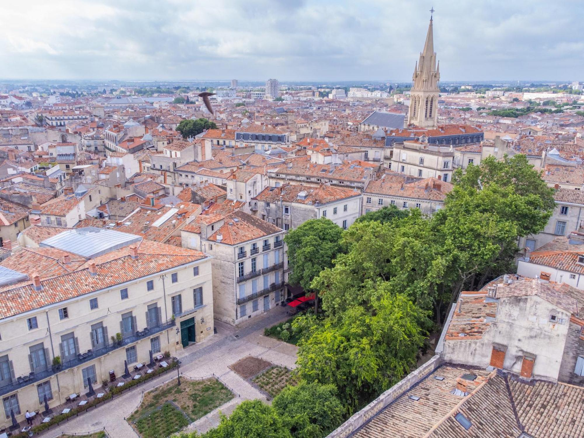Le Platane de la canourgue Montpellier Extérieur photo